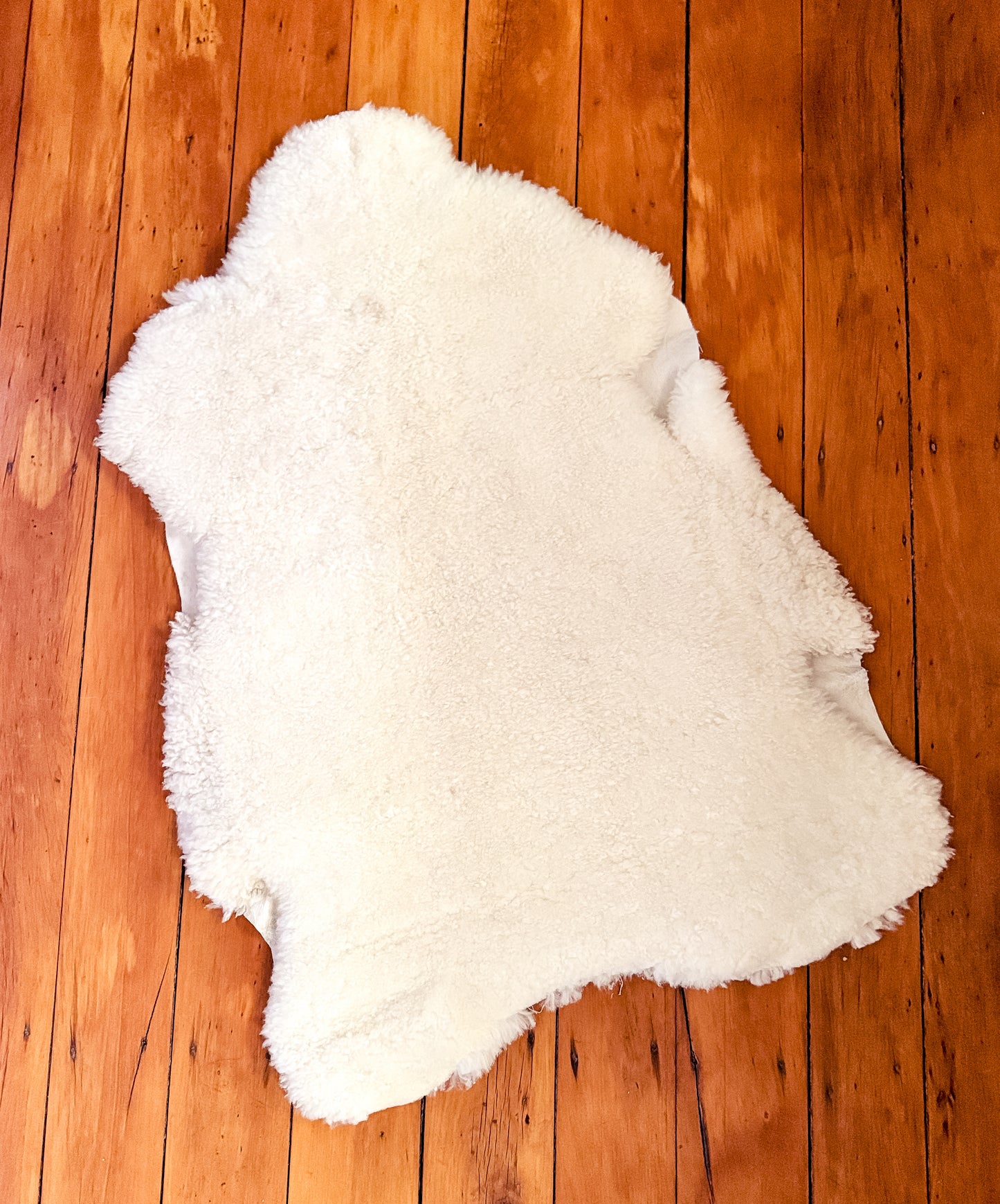 White Merino wool-on Hides